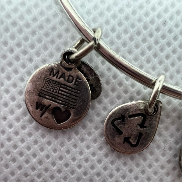 RETIRED: Alex and Ani | Queens Crown charm bracelet. - Picture 5 of 15